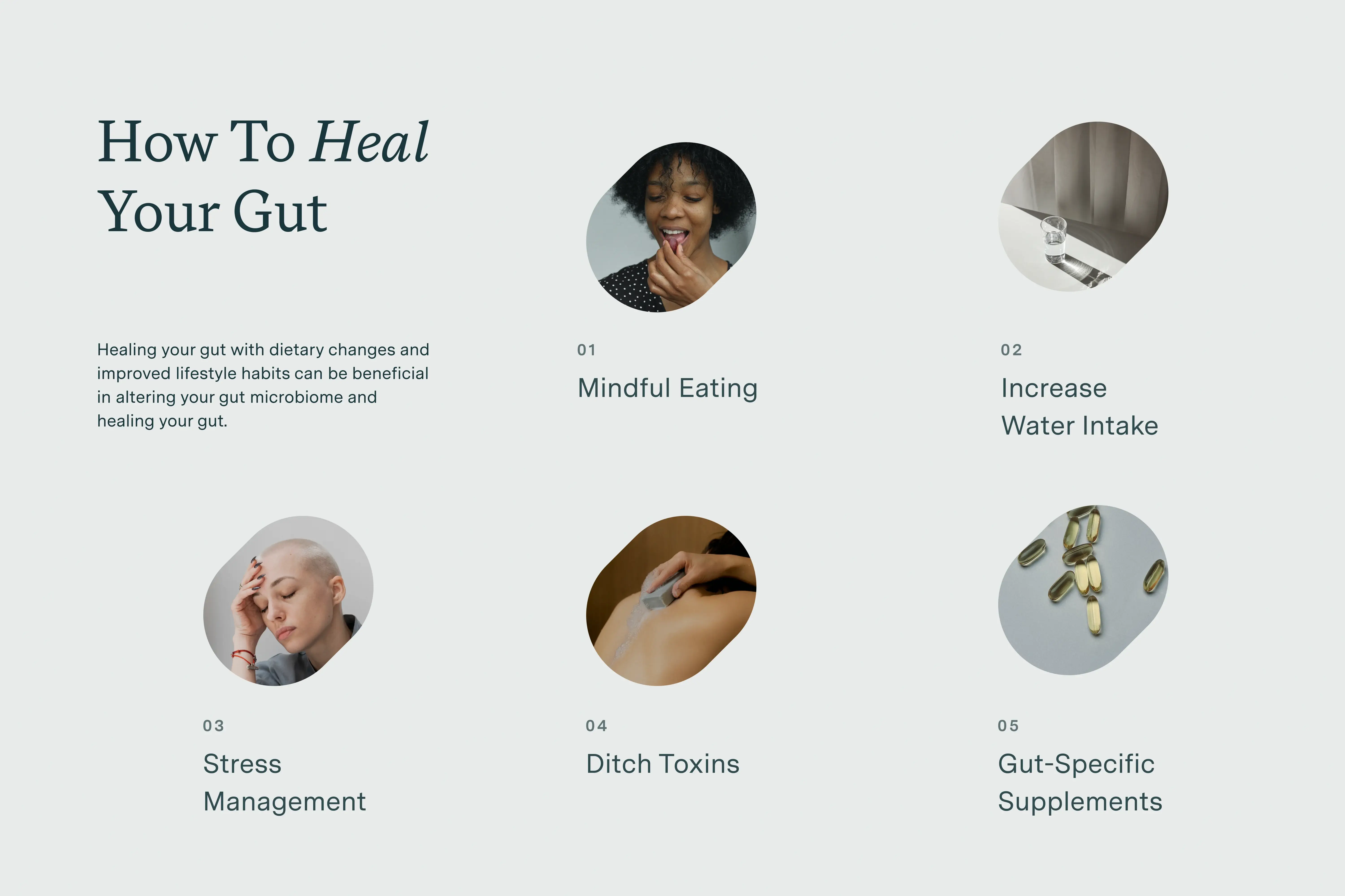 how to heal your gut infographic